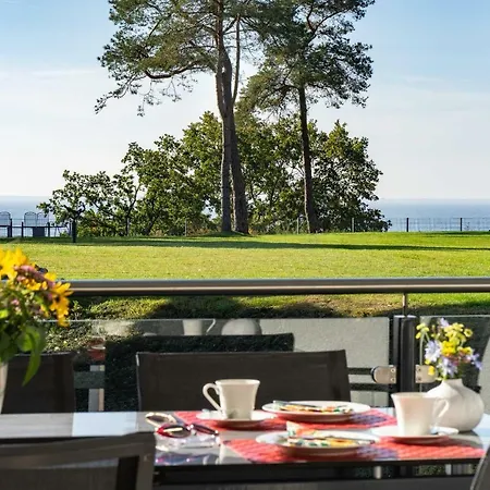 Seemöwe - Oase Am Haff